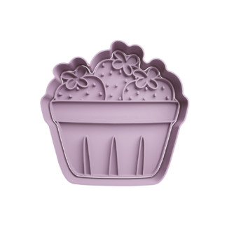 Bowl con Frutillas Fresas Cortador de Galletas