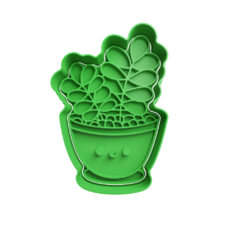 Planta en Maceta Cortador de Galletas