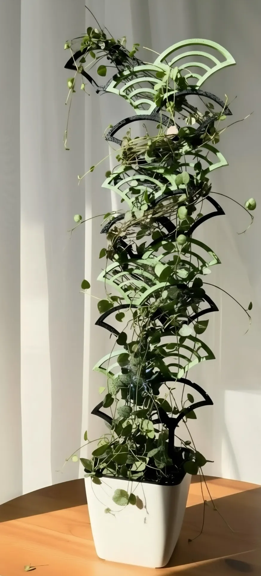 [NV-MW-2659527] Soporte modular para planta trepadora