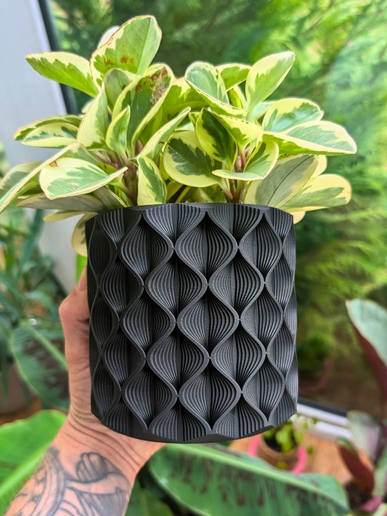 Maceta negra geometrica